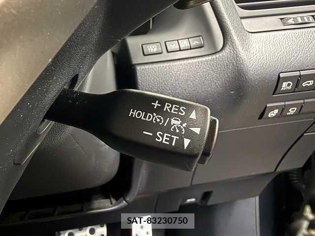 Lexus RX 2021-02 4139899-8