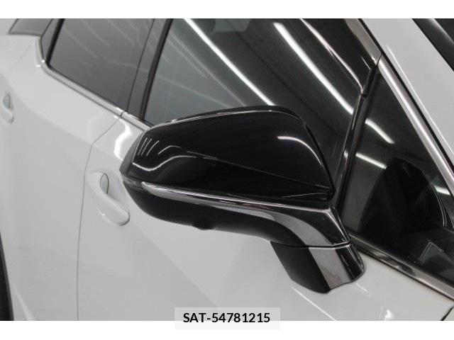 Lexus RX 2015-11 4371598-9