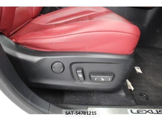 Lexus RX 2015-11 4371598-27