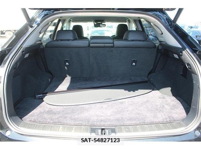 Lexus RX 2019-01 4595706-28