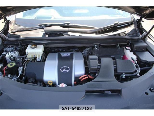 Lexus RX 2019-01 4595706-29