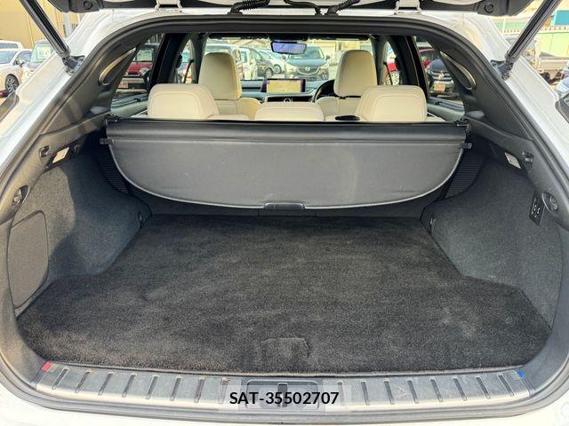 Lexus RX 2017-04 4965083-26
