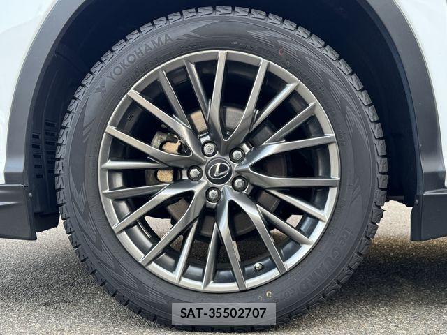 Lexus RX 2017-04 4965083-29