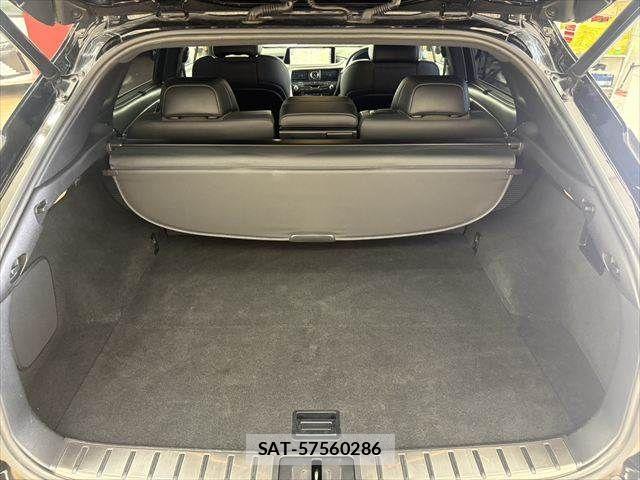 Lexus RX 2016-07 5871196-9