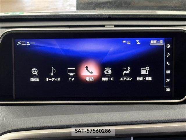Lexus RX 2016-07 5871196-5