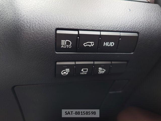 Lexus RX 2017-07 6272158-19
