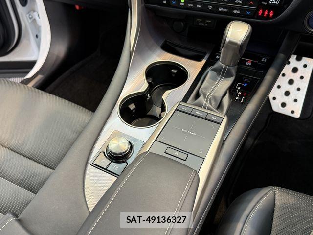 Lexus RX 2021-03 6612949-26