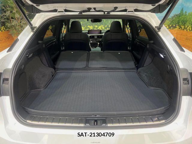 Lexus RX 2016-10 6676725-11