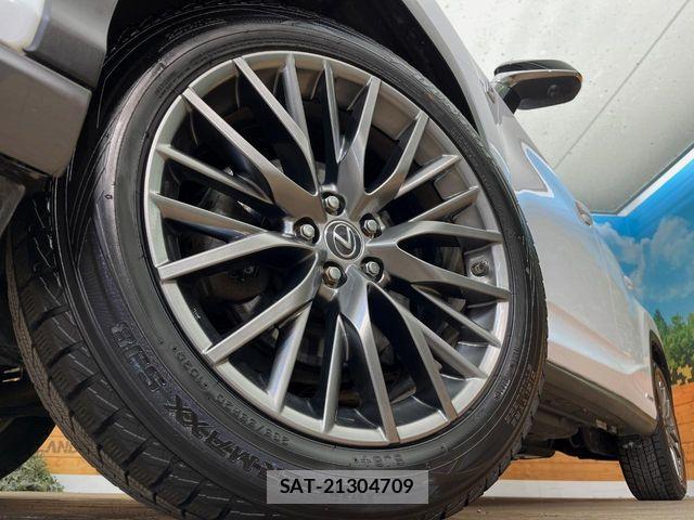 Lexus RX 2016-10 6676725-13