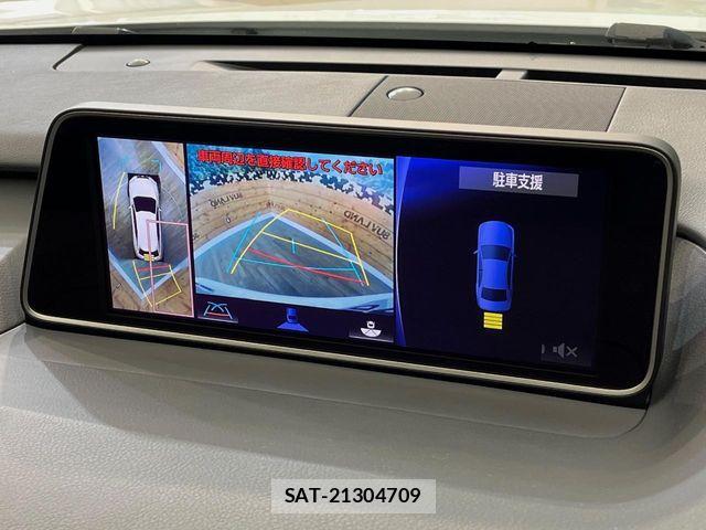 Lexus RX 2016-10 6676725-4