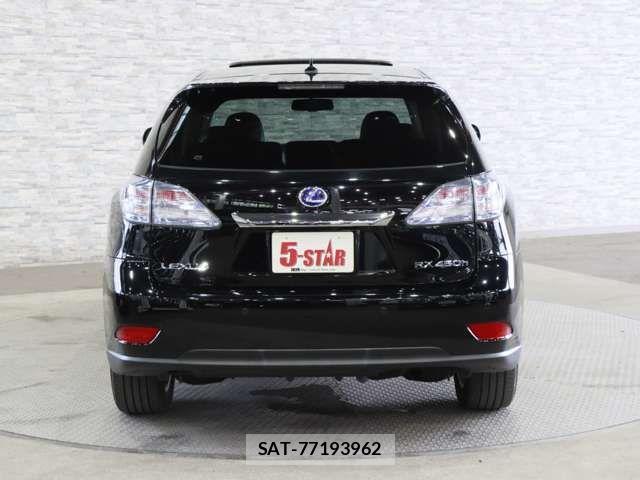 Lexus RX 2009-09 7216653-14