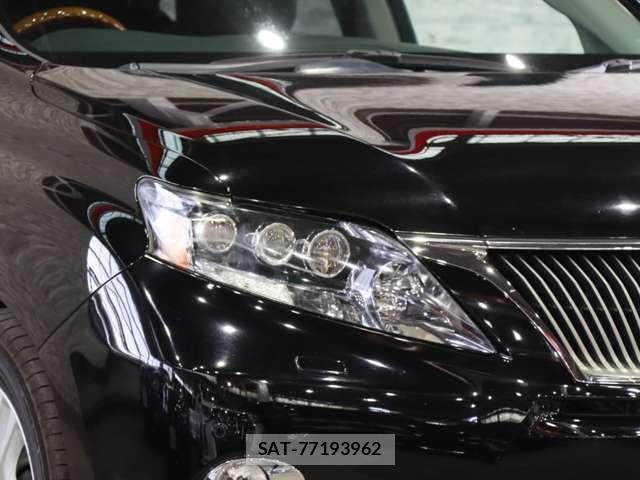 Lexus RX 2009-09 7216653-16