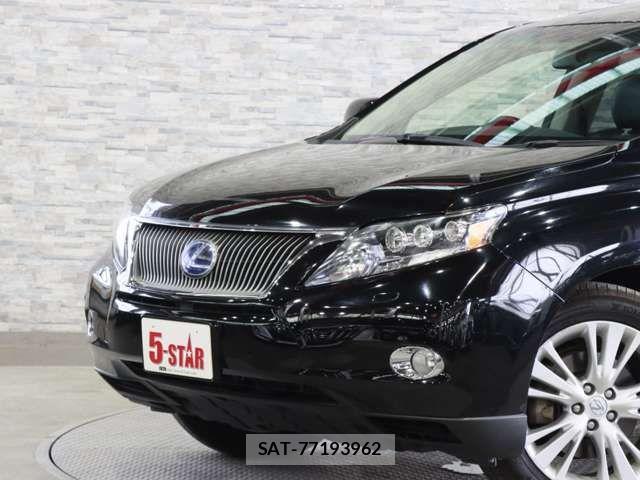 Lexus RX 2009-09 7216653-17