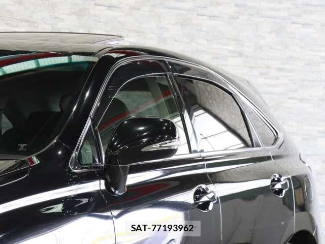 Lexus RX 2009-09 7216653-18