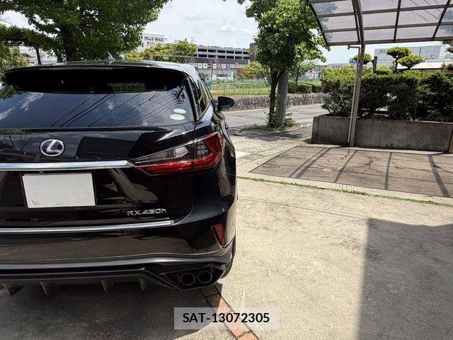 Lexus RX 2017-07 7221154-19