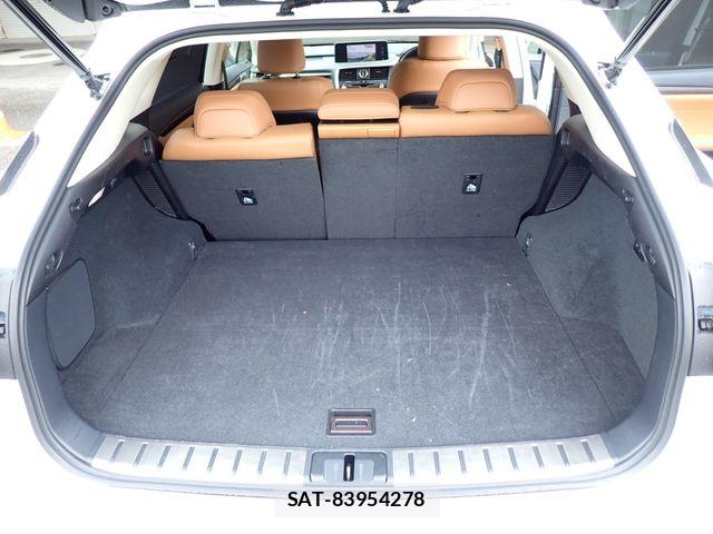Lexus RX 2021-04 7251373-25
