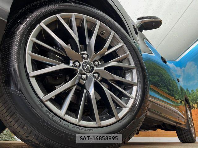 Lexus RX 2017-03 7328106-13