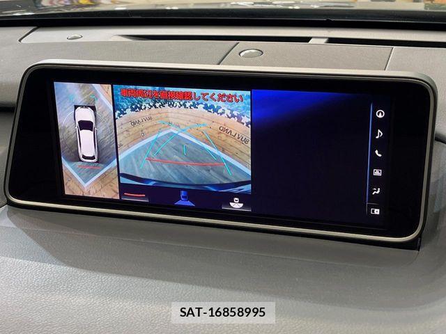 Lexus RX 2017-03 7328106-5