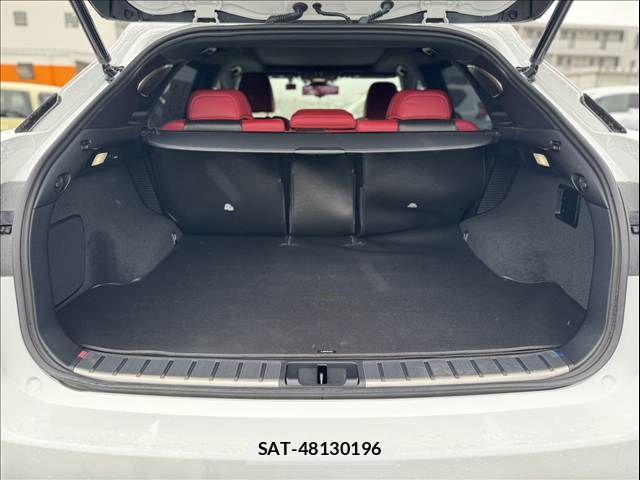 Lexus RX 2021-09 7328104-19