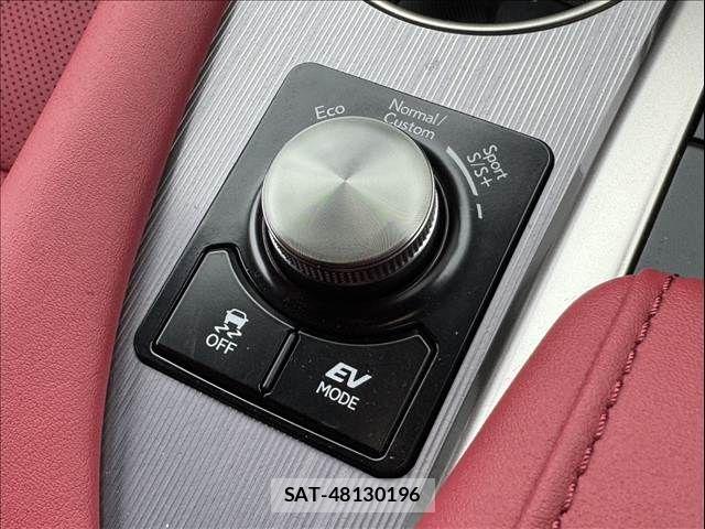 Lexus RX 2021-09 7328104-28