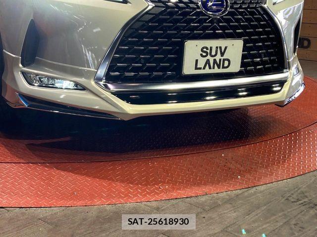 Lexus RX 2021-09 7358570-4