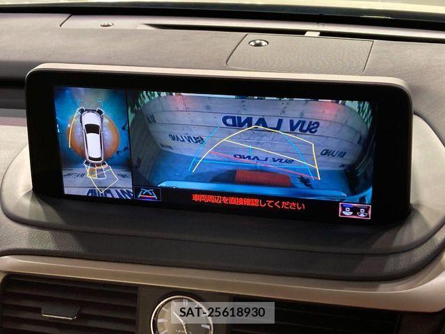 Lexus RX 2021-09 7358570-6