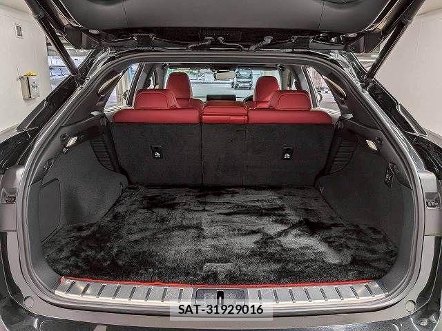 Lexus RX 2019-10 7358567-12