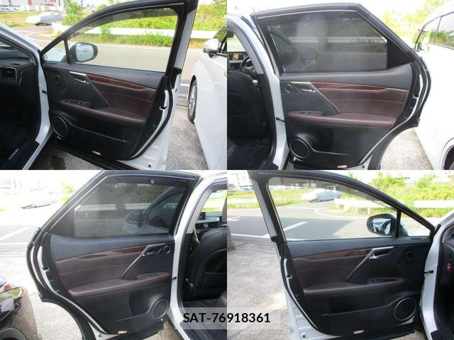 Lexus RX 2018-06 7455478-16