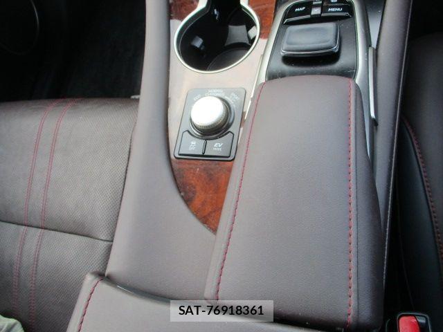 Lexus RX 2018-06 7455478-22