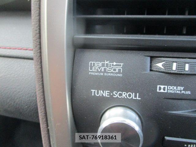Lexus RX 2018-06 7455478-26