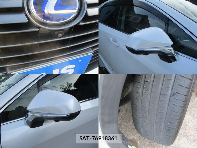 Lexus RX 2018-06 7455478-6