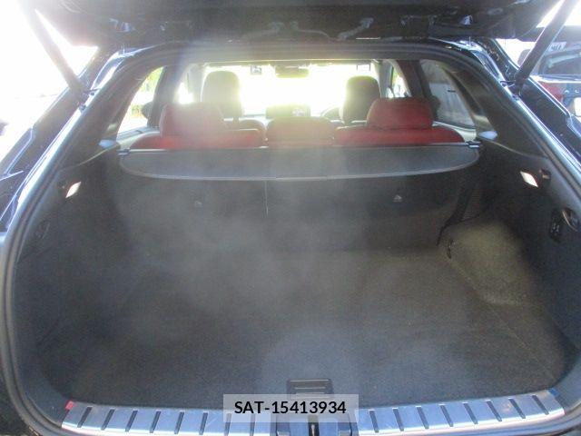 Lexus RX 2022-07 7455479-10