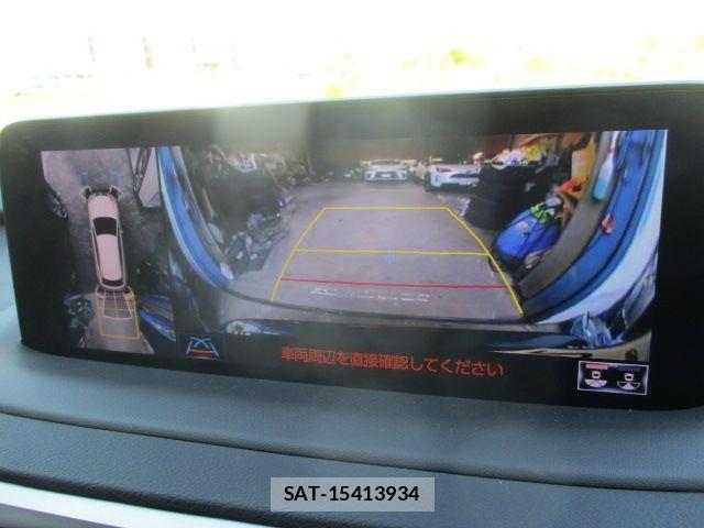 Lexus RX 2022-07 7455479-22