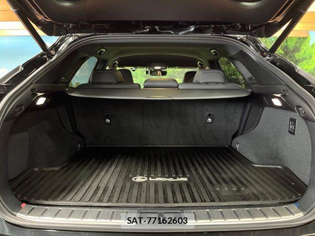 Lexus RX 2020-01 7501332-9