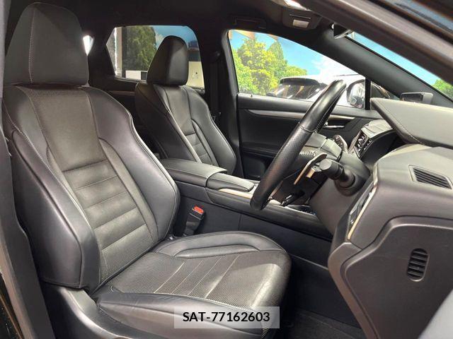 Lexus RX 2020-01 7501332-7