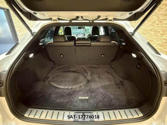 Lexus RX 2020-01 7501333-12