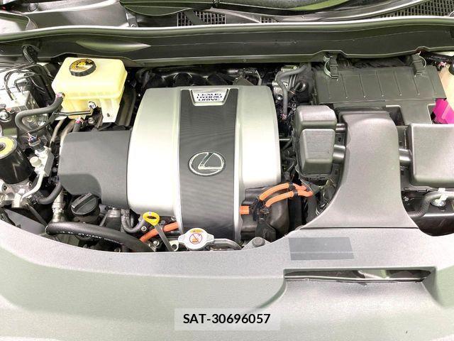 Lexus RX 2018-11 7562373-17