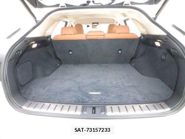 Lexus RX 2021-08 7617743-14