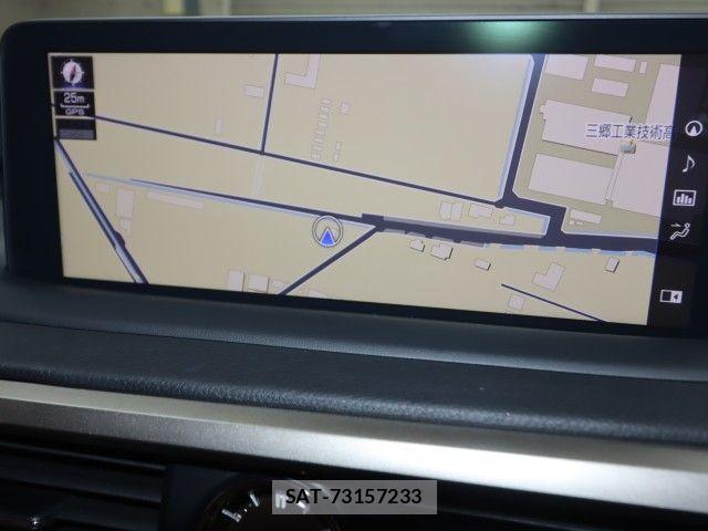 Lexus RX 2021-08 7617743-22