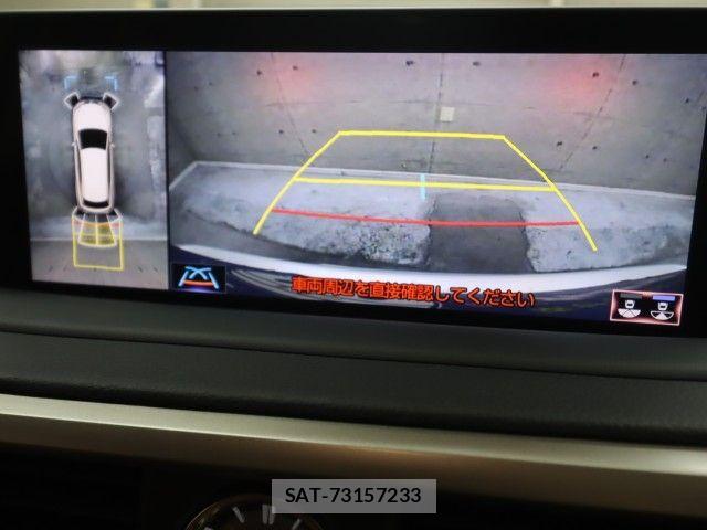 Lexus RX 2021-08 7617743-23