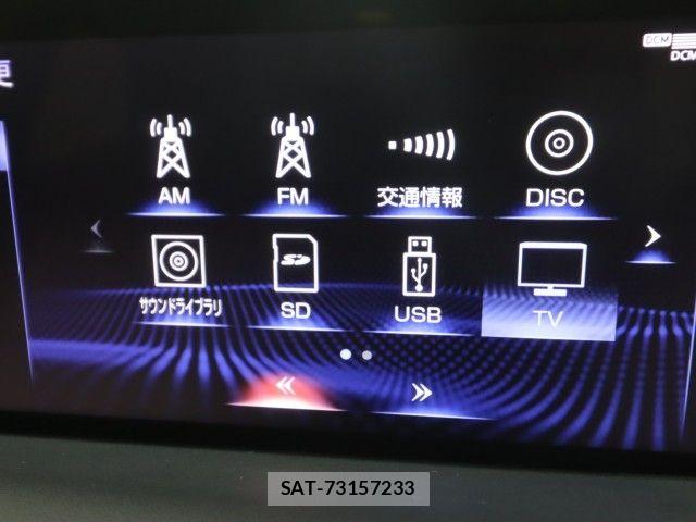 Lexus RX 2021-08 7617743-24