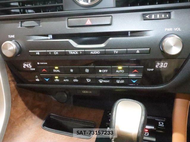 Lexus RX 2021-08 7617743-25