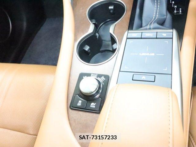 Lexus RX 2021-08 7617743-27