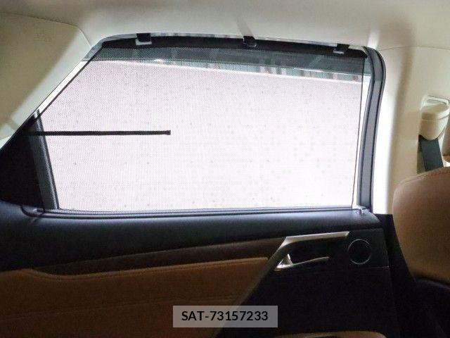 Lexus RX 2021-08 7617743-7