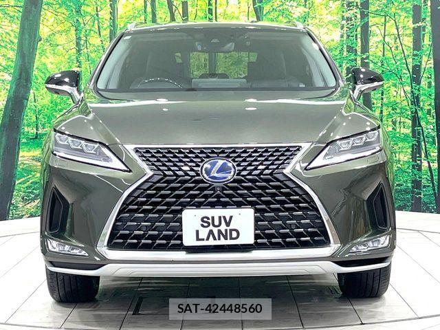Lexus RX 2019-10 7786660-15