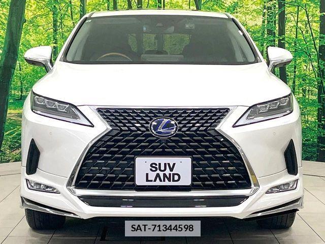Lexus RX 2019-09 7786659-15