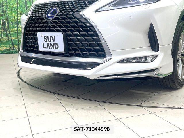 Lexus RX 2019-09 7786659-3