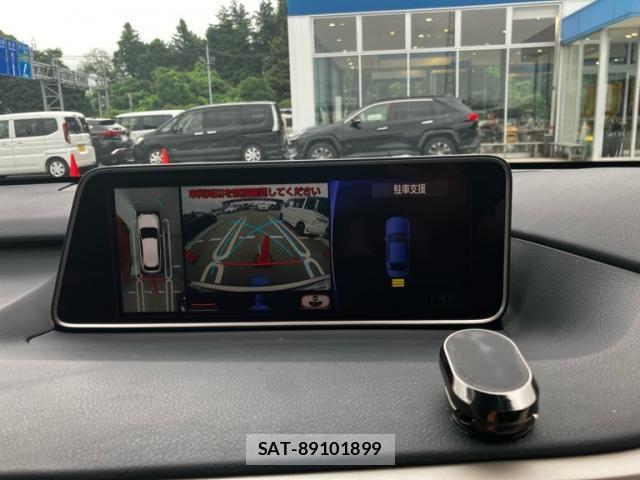 Lexus RX 2017-07 7902875-29