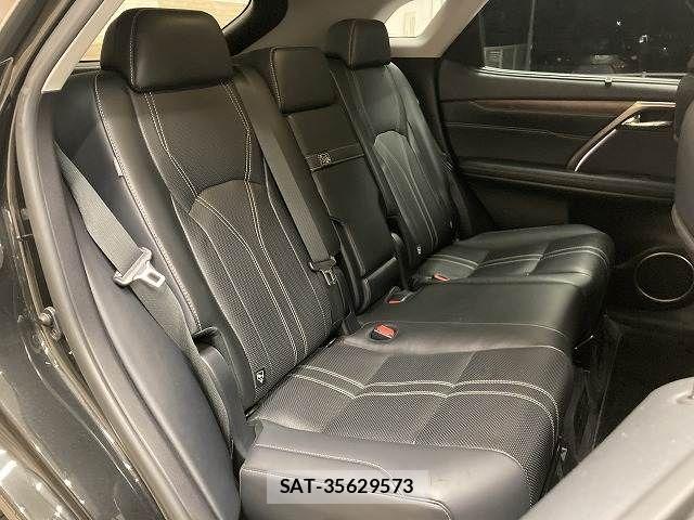 Lexus RX 2019-12 7962465-12