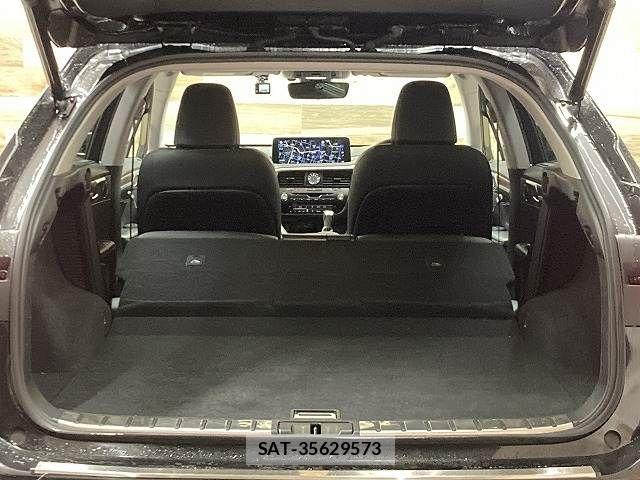 Lexus RX 2019-12 7962465-13